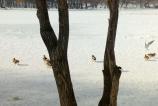 IMG_20170203_134443.jpg