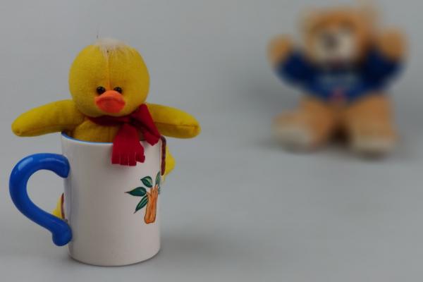 ASUS Zenfone Zoom S - Mostre Foto (bokeh)