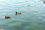 IMG_20170504_142958.jpg