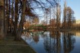 IMG_20190217_094008.jpg
