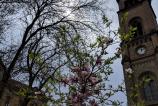 IMG_20190406_120958.jpg