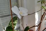 Pad5_foto046.jpg