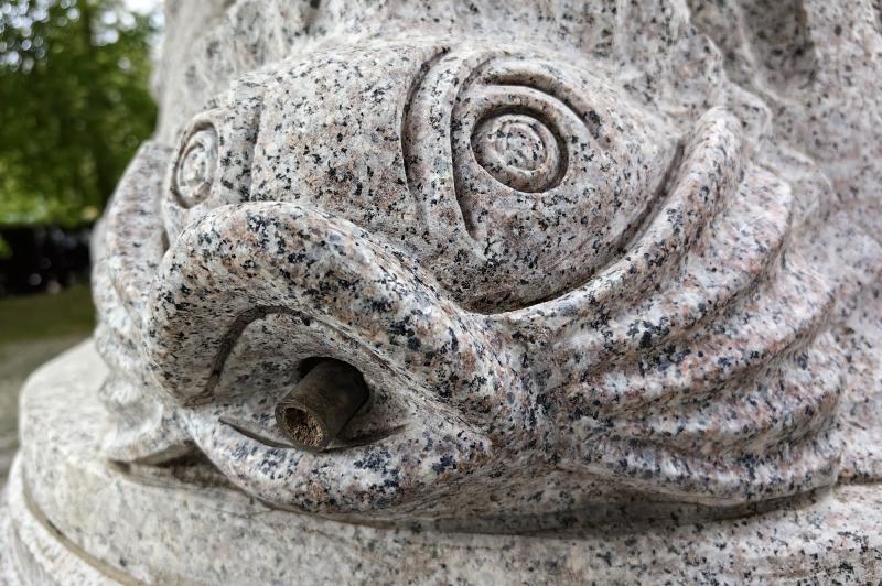 Huawei P60 Pro - Mostre foto (macro): IMG_20230422_170323.jpg