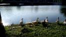ASUS Transformer Pad Infinity video sample IV. - Mobilissimo.ro