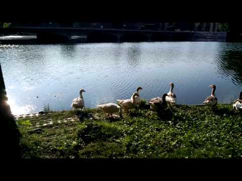 ASUS Transformer Pad Infinity video sample IV. - Mobilissimo.ro