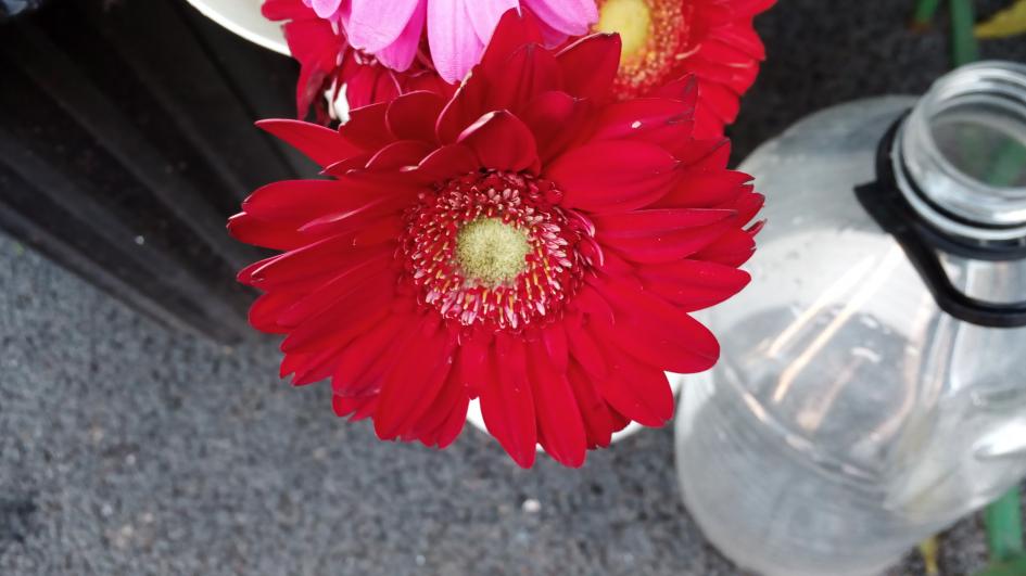 iHunt X200 - Mostre Foto (ziua): iHunt-X200-Galerie-Mostre-foto-ziua_002.jpg