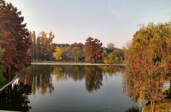 Motorola One Macro - Mostre Foto (ziua): IMG_20191028_154709095_HDR.jpg