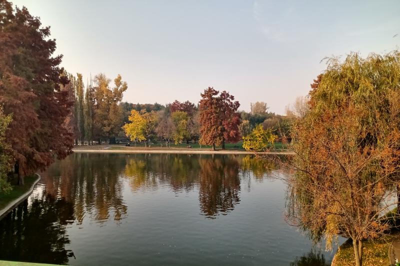 Motorola One Macro - Mostre Foto (ziua): IMG_20191028_154709095_HDR.jpg