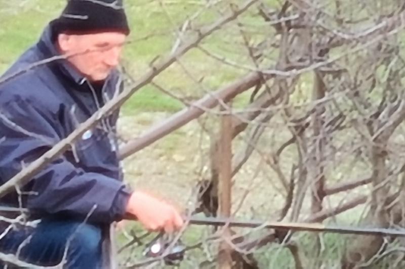 Zoom Samsung Galaxy S20: 20200310_164747.jpg