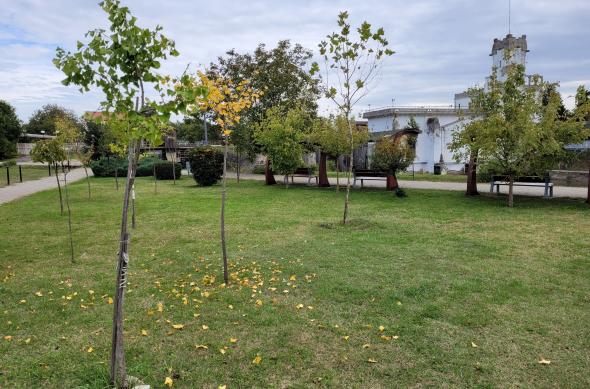 Galerie mostre foto realizate ziua cu Samsung Galaxy S20 FE 5G: 20201007_142634.jpg