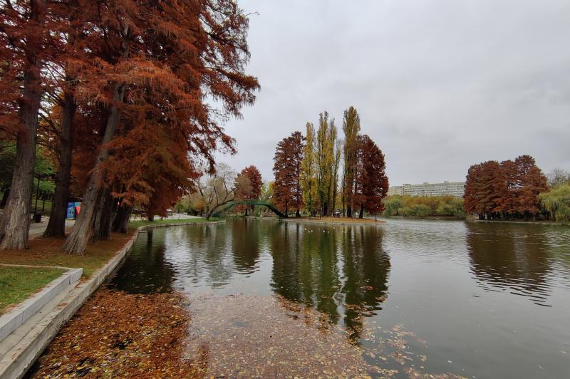 OnePlus 8T - Mostre Foto (ziua): IMG_20201110_150115.jpg