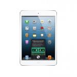 Apple iPad mini Wi-Fi + Cellular