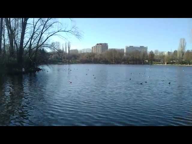 Allview V1 Viper S 4G mostră video II. - Mobilissimo.ro