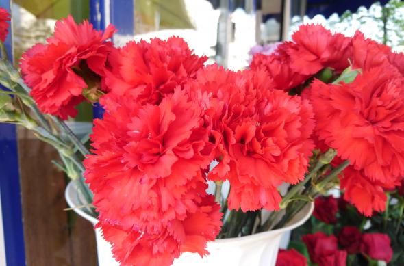 Sony Xperia XA2 - Mostre Foto (ziua): DSC_0073.JPG