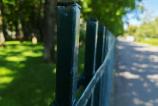 Honor-400-Mostre-Closeup_004.jpg