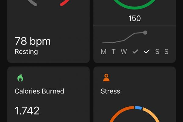 Garmin Connect - Forerunner 970
