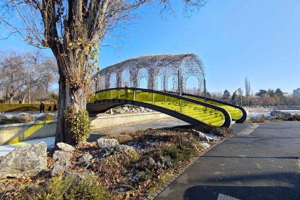 ASUS ROG Phone 8 PRO - Mostre ultrawide