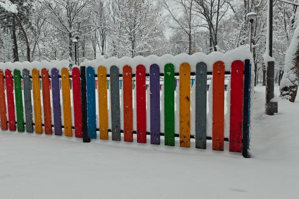 OnePlus 12 - Mostre culori