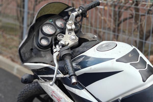 OnePlus 12 - Mostre portrait