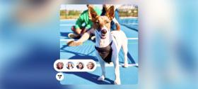 Instagram primește noi funcții de mesagerie cu accent pe multitasking: reply rapid, teme și mesaje silențioase
