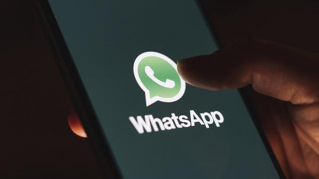 <b>WhatsApp va permite curând transferul de fișiere de până la 2 GB; Funcția este testată în Beta</b>Dezvoltatorii WhatsApp continuă să ne livreze noi și noi funcții, iar printre cele pregătite se numără posibilitatea de a reacționa la mesajele primite folosind emoji-uri, cât și implementarea de sondaje în grupuri. Azi aflăm detalii despre o nouă 