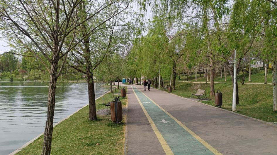 Nokia 8.1 - Mostre Foto (ziua): IMG_20190402_144144.jpg