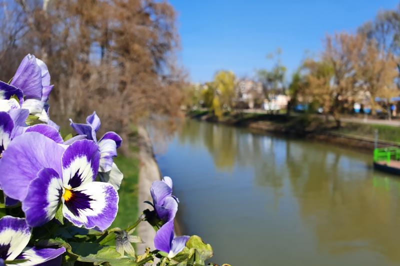 Samsung Galaxy S10e - Mostre Foto (ziua): Foto_08.jpg