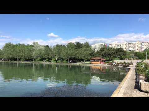 Apple iPhone SE, mostă video 4K (UHD), 30 FPS (panoramare) - Mobilissimo.ro