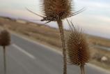 IMG_20190304_174452.jpg
