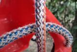 Samsung-Galaxy-A17-5G-Mostre-closeup-macro_005.jpg