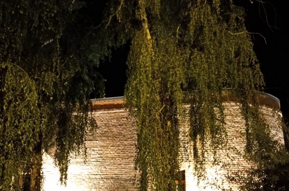 Allview Soul X5 Pro - Mostre Foto (seara): IMG_20180621_014227.jpg