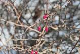 IMG_20250221_141816.jpg