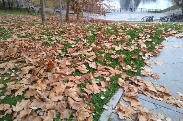 Motorola Moto G5S Plus - Mostre Foto (ziua): IMG_20171125_151040631.jpg