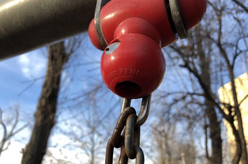 Apple iPhone 8 - Mostre Foto (bokeh): IMG_0115.jpg