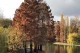 Photo 10-11-2017, 14 06 16.jpg