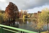 Photo 10-11-2017, 14 06 14.jpg
