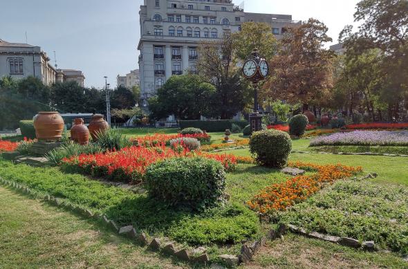 Motorola RAZR 5G - Mostre Foto (ziua): IMG_20200919_155539776_HDR.jpg