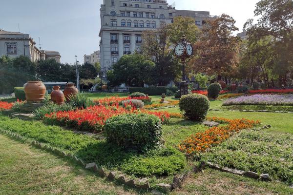 Motorola RAZR 5G - Mostre Foto (ziua)