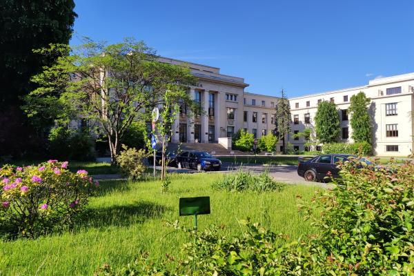 Xiaomi Mi 11 Lite 5G - Mostre Foto (ziua)