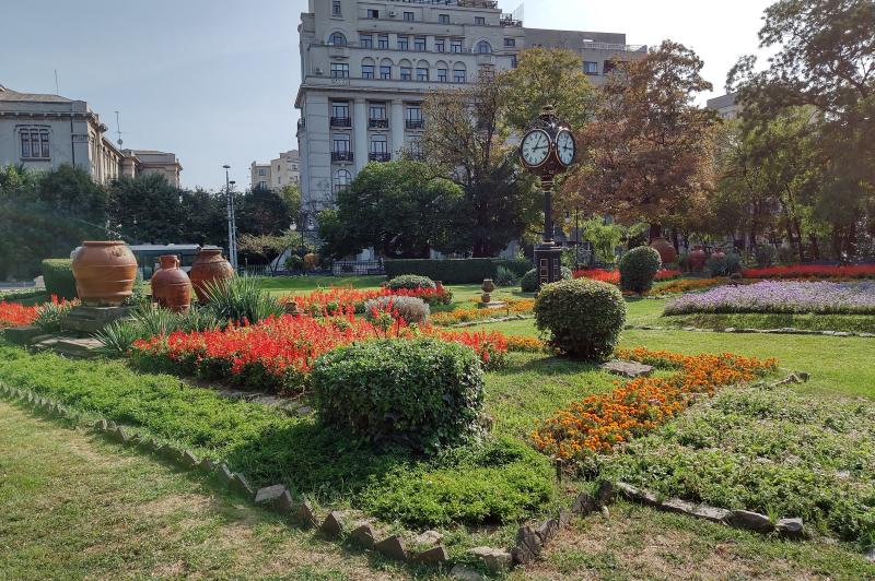 Motorola RAZR 5G - Mostre Foto (ziua): IMG_20200919_155539776_HDR.jpg