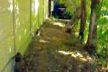 IMG_20250716_215930_205.jpg