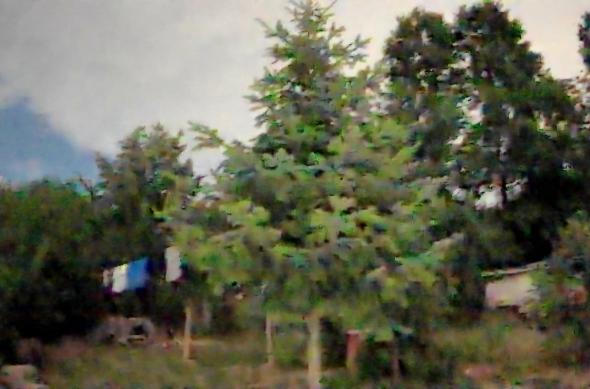 FOSSiBOT F107 Pro - Starlight Night Vision: IMG_20250716_014330_400.jpg