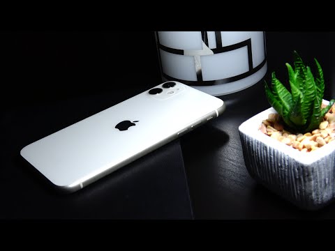 Apple iPhone 11 Video Review în Limba Română (Cel mai ieftin iPhone din tripleta din 2019)