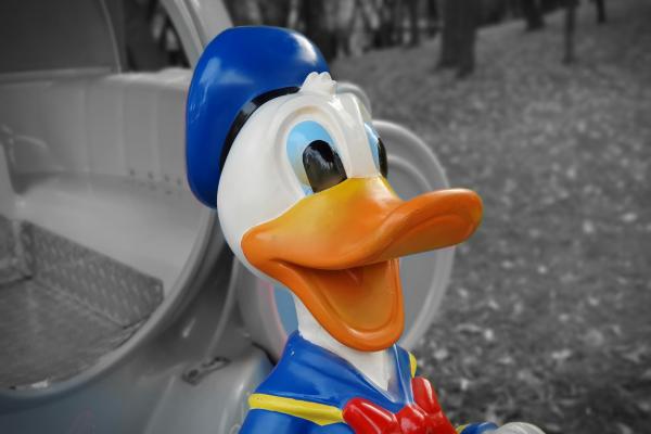 Samsung Galaxy S10 5G - Mostre Foto (bokeh)