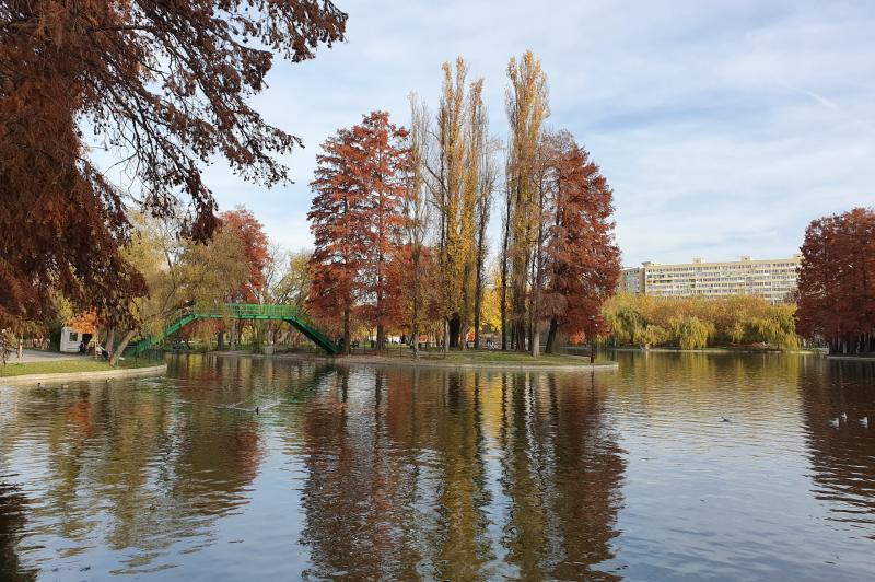 Samsung Galaxy S10 5G - Mostre Foto (ziua): 20191106_152554.jpg