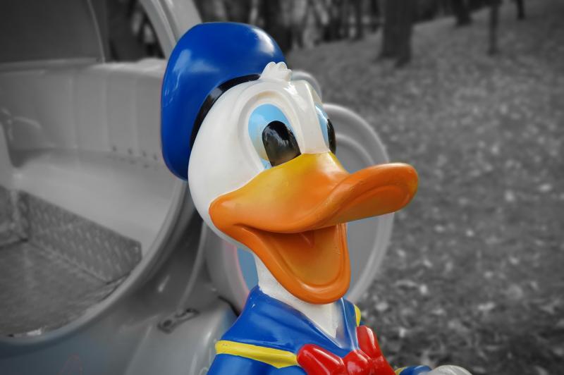 Samsung Galaxy S10 5G - Mostre Foto (bokeh): 20191106_151718.jpg