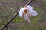 Mostre-macro_ (10).jpg