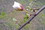 Mostre-macro_ (9).jpg