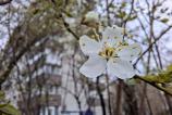 Mostre-macro_ (6).jpg