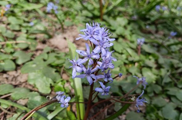 OPPO A6 Pro 5G - Mostre zi: Mostre-zi_ (25).jpg